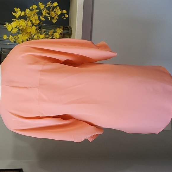 Lovely 100% silk dress, by Ali Ro. Beautiful peach color. Size 4. Unique ruffle - Picture 6 of 10